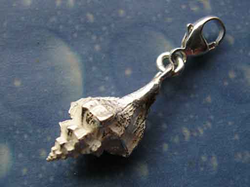 Flache Stachelschnecke Charms mit Karabiner