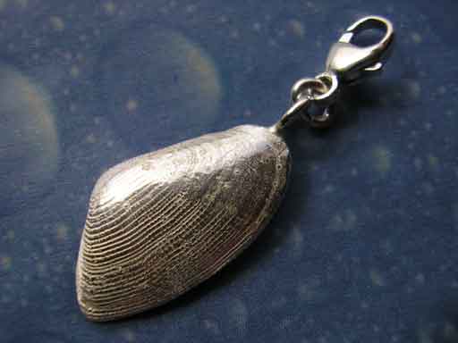 Sägezahnmuschel s Charms mit Karabiner