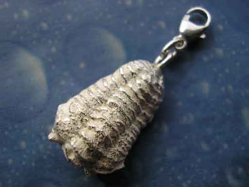 Trilobit lang Charms mit Karabiner
