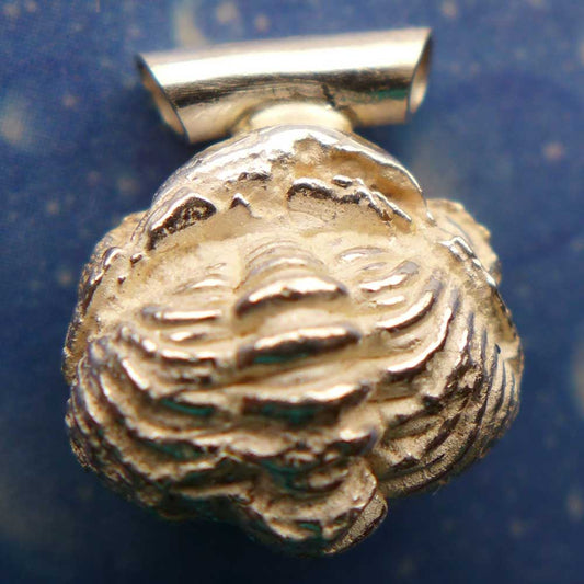 Versteinerung Schmuck Trilobit Anhänger Rückseite