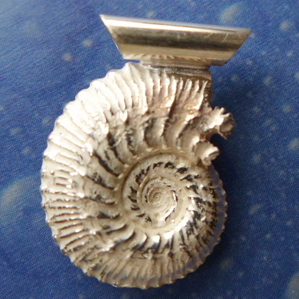 Versteinerung Schmuck Ammonit 