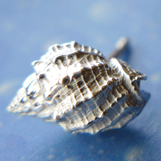 Silber Ohrstecker Korbschnecke individueller Schmuck 