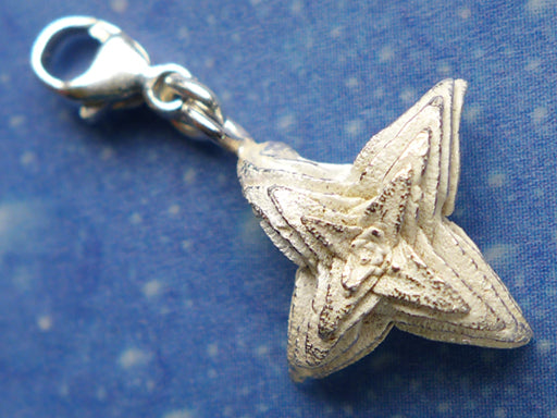 Kaktus Schmuck Charms Silber