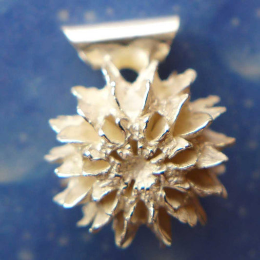 Kasuarine Samen Anhänger Silber Schmuck