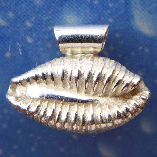 Kaurischnecke Silber Anhänger Schmuck