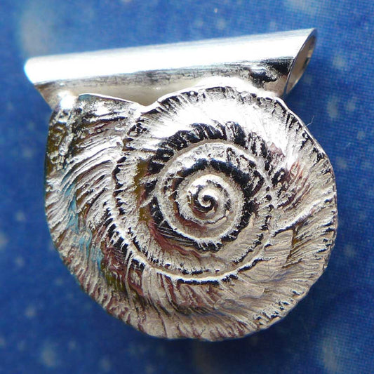 Meeresschmuck Anhänger Sonnenuhrschnecke