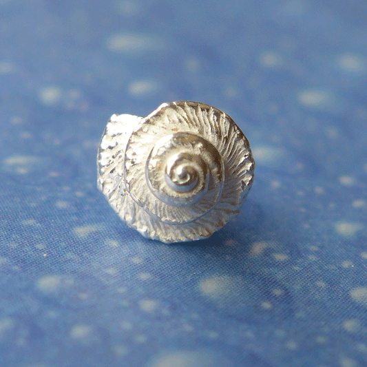 Meerweh Ohrstecker Kreiselschnecke 