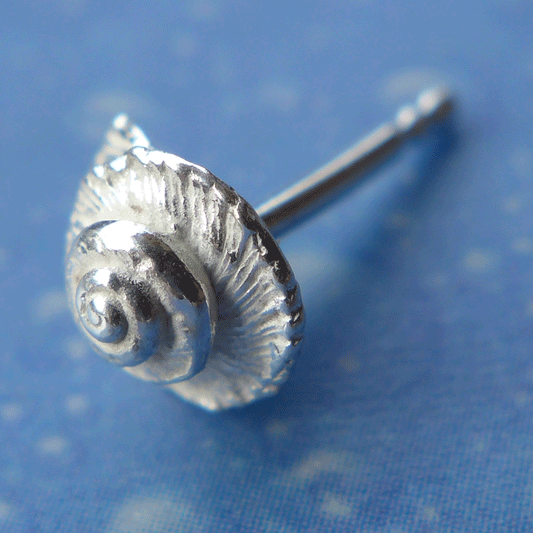 Meerweh Ohrstecker Kreiselschnecke 