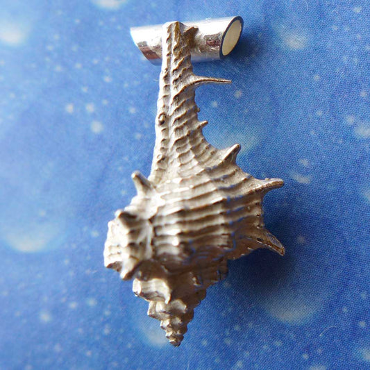 Murex Schmuck Silber Anhänger