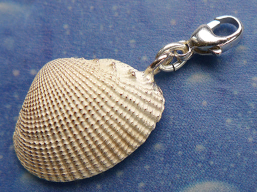 Muschel Charms Anhänger Schmuck Design Archen Kamm 