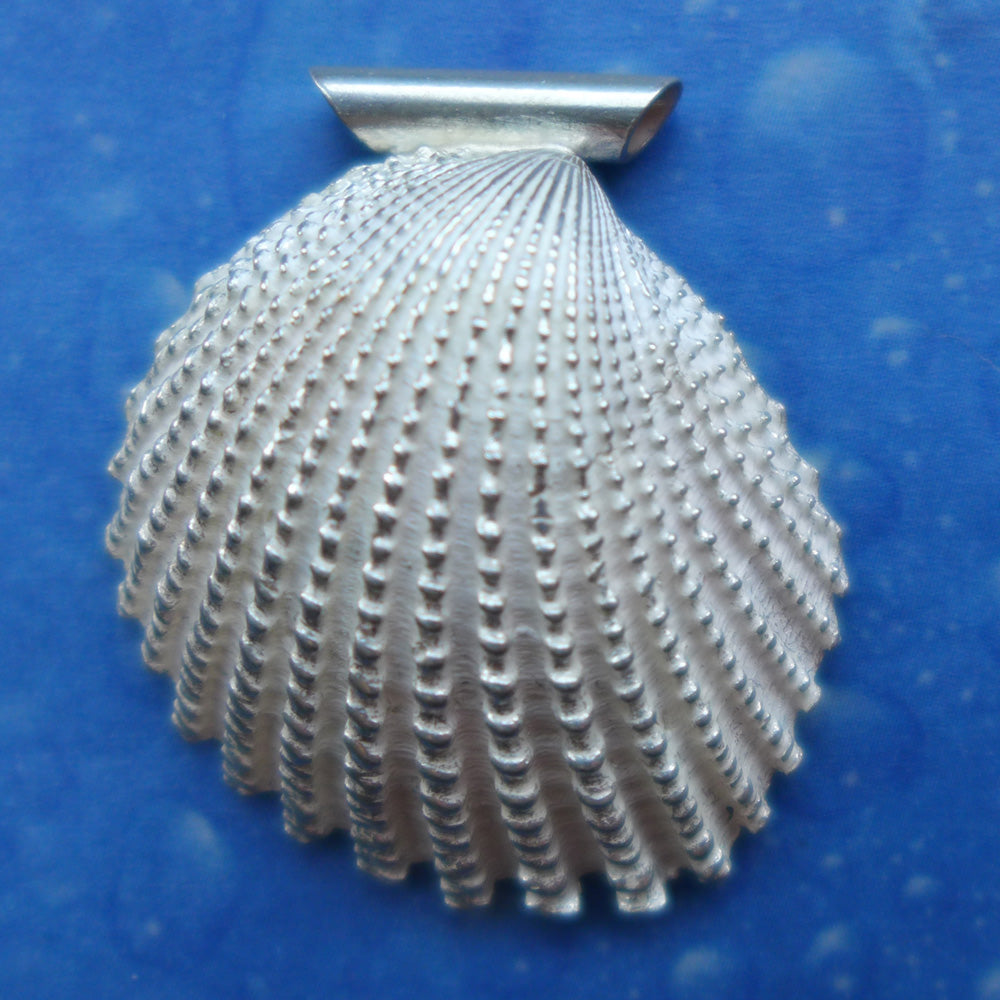 Muschelanhänger Silber mit toller Struktur 
