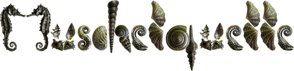 Muschelquelle