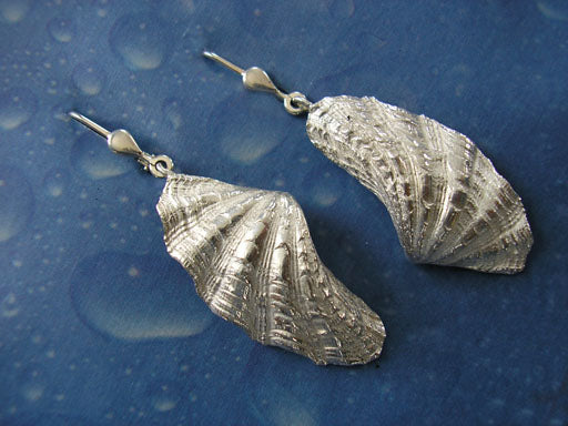 Strand Schmuck Mörder Muschel Ohrhänger