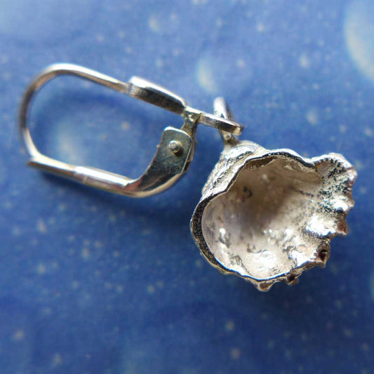Schuppige Fächermuschel small Ohrhänger