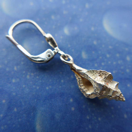 Flache Stachelschnecke Ohrhänger