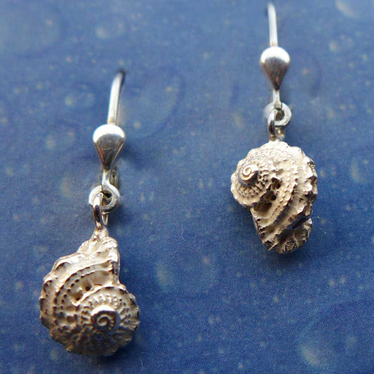 Ohrringe Schnecke Silber Unbekannte Schönheit