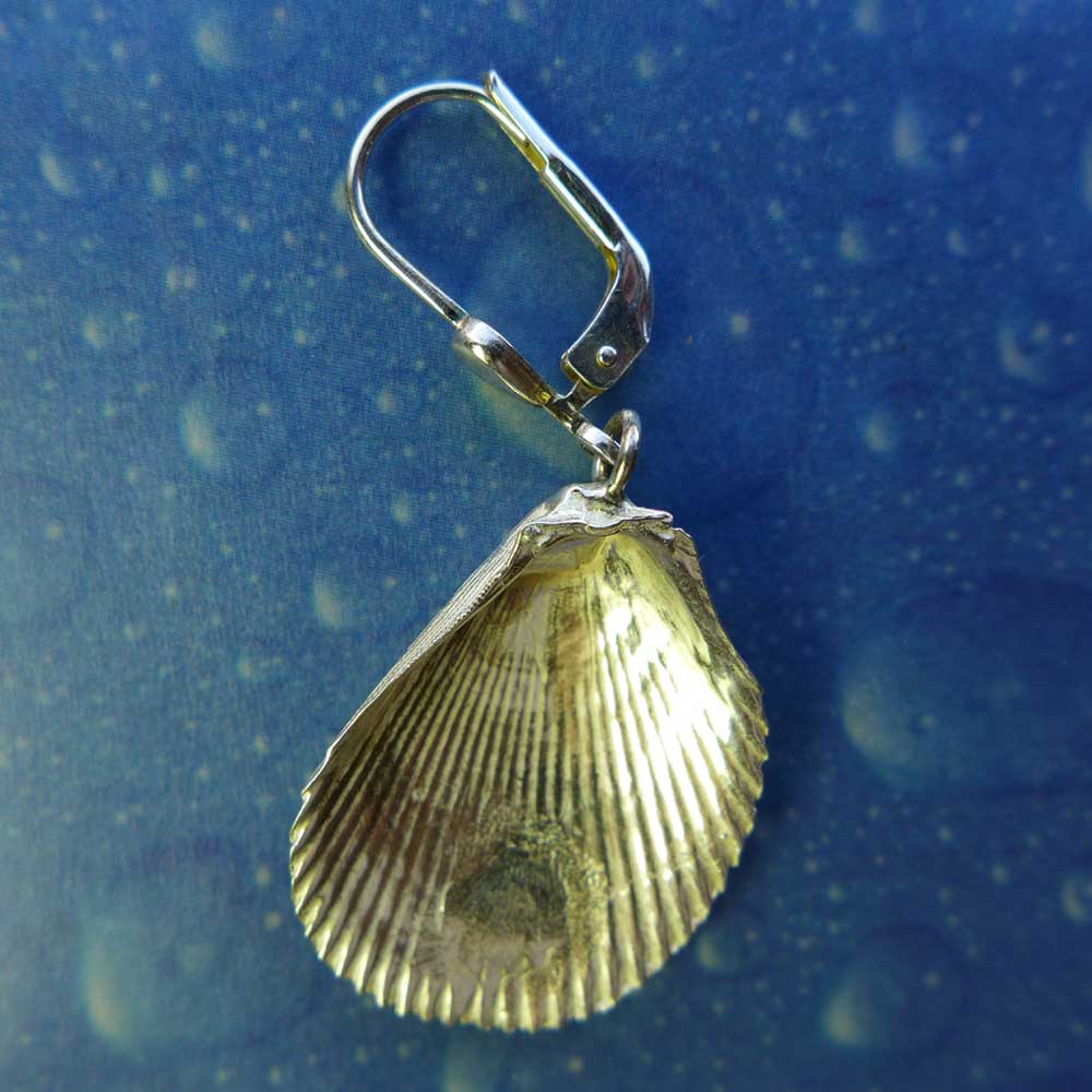 Maritimer Schmuck Ohrhänger Feilen Muschel Rückseite