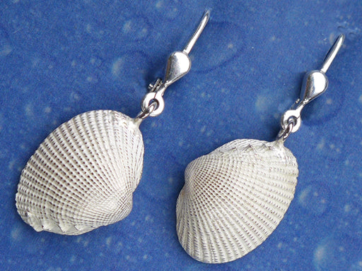 Muschelschmuck Ohrringe Archen Kamm