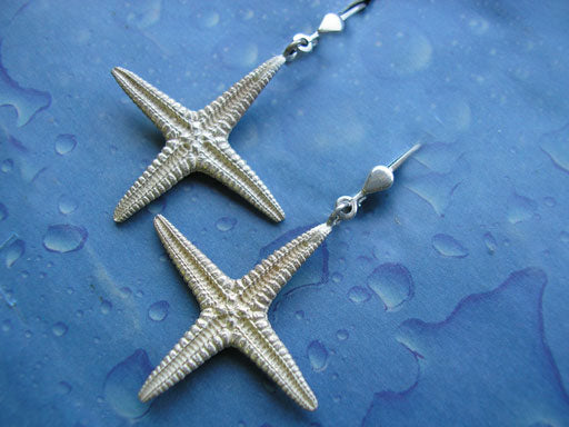 Schmuck von der Küste Silber Seestern