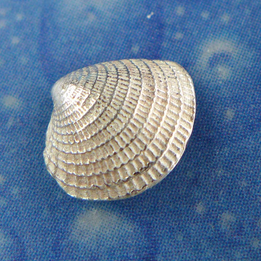 Venusmuschel Ohrschmuck Silber Lamellen xs