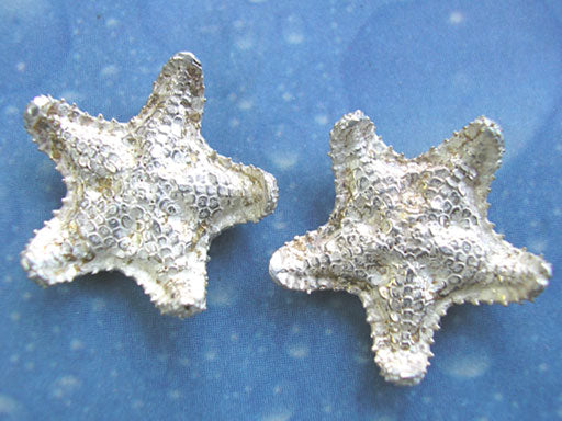 Kissen Seestern Schmuck Ohrstecker