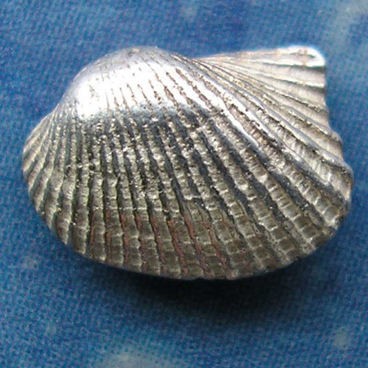 Pilgerherzmuschel Ohrstecker