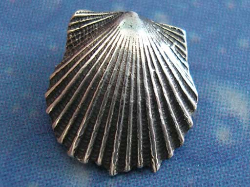 Pilgermuschel Jakobsmuschel Schmuck Ohrstecker xxs