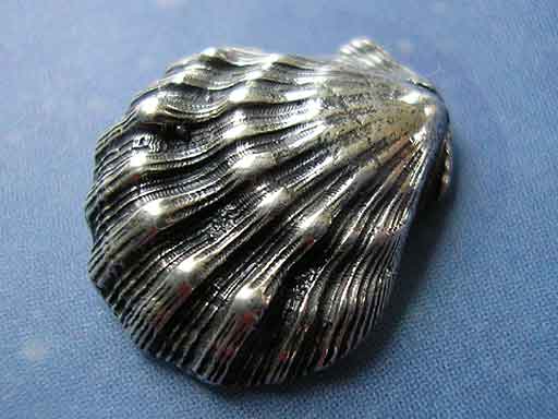Schmuck Shell Löwenpranke Ohrstecker geschwärzt