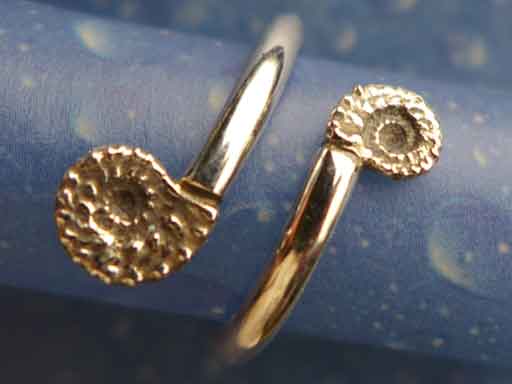 Ammoniten Ring