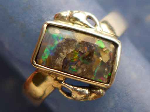 Krebsscheren mit opalisiertem Holz Ring
