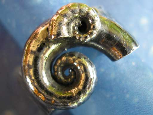 Posthornschnecken Ring
