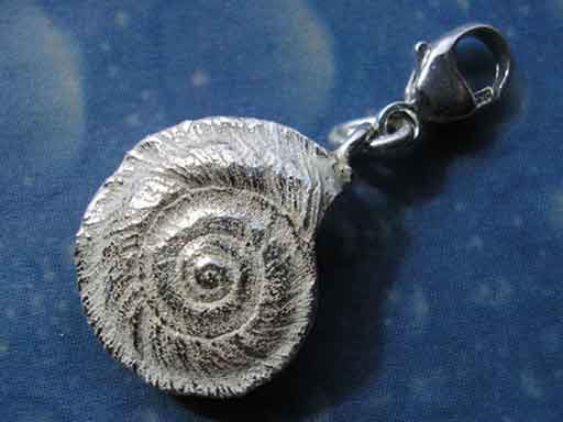 Schmuck Charm Silber Sonnenuhrschnecke 