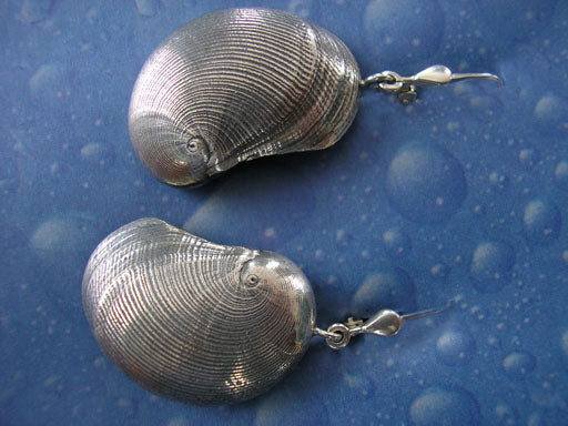 Schmuck aus dem Meer Silber Ohrringe