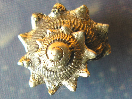 Schneckenschmuck Ohrstecker Sonne 