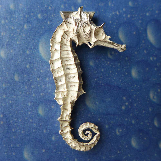 Seepferdchen Kettenanhänger Schmuck Silber