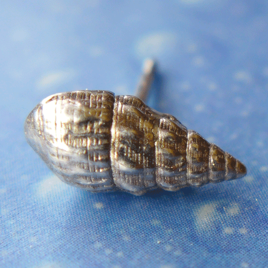 Seetang Schnecke Ohrstecker Schmuck 