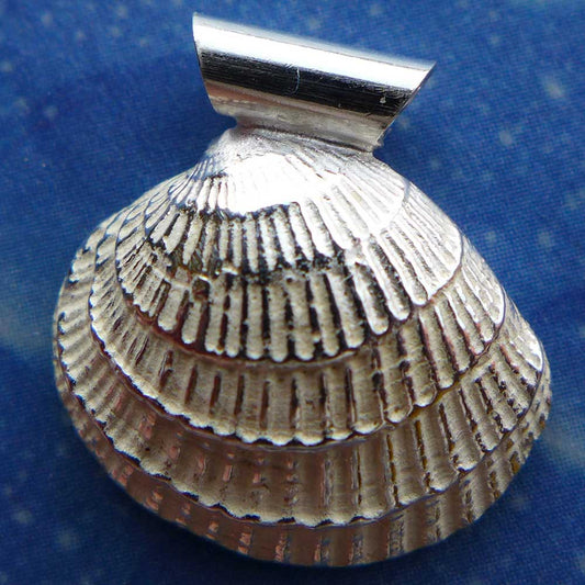 Schmuck Silber Anhänger Venus Muschel