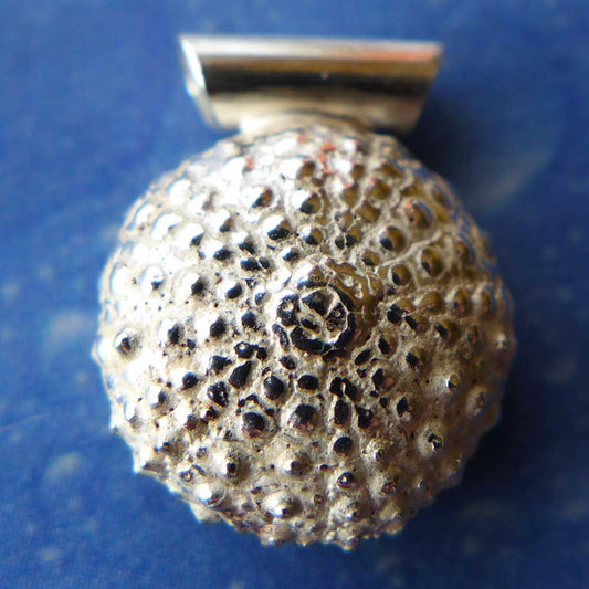 Silber Seeigel Schmuck Anhänger
