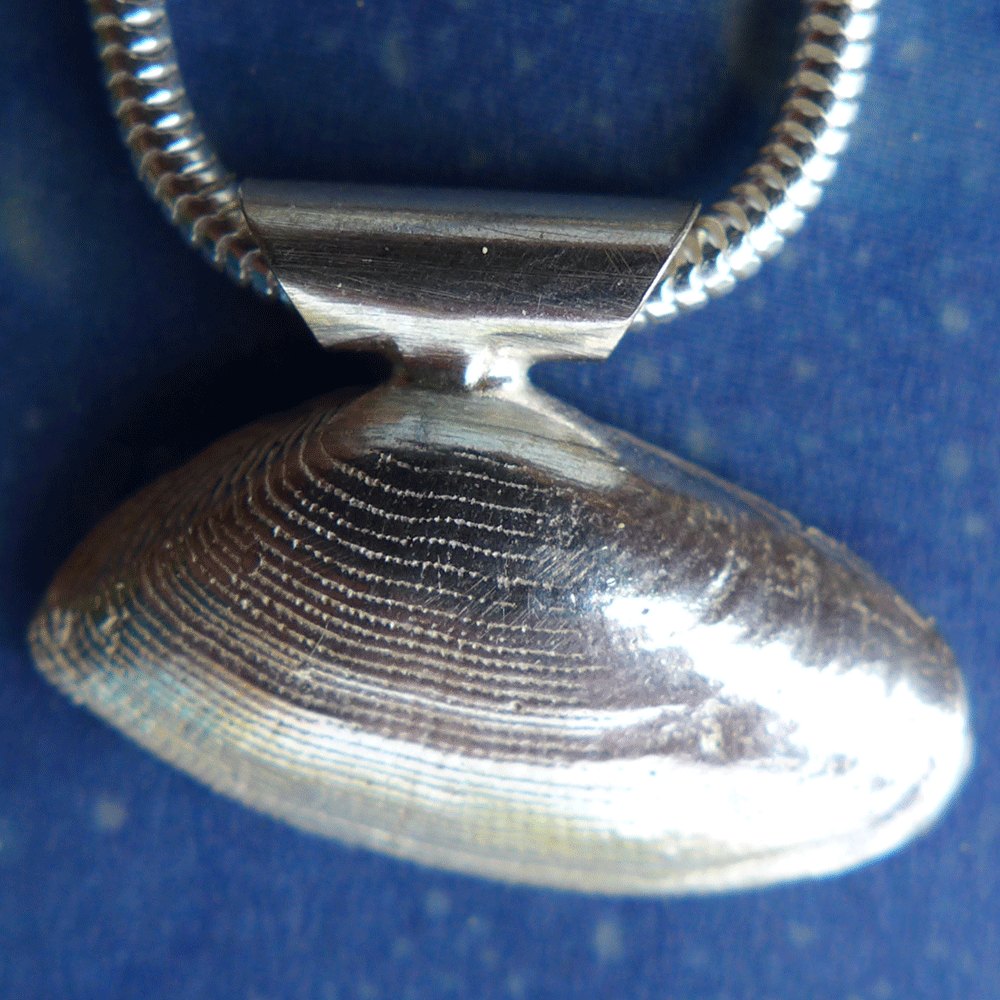Sommertrend Muschel Schmuck Sägezahn
