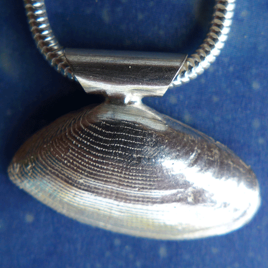 Sommertrend Muschel Schmuck Sägezahn