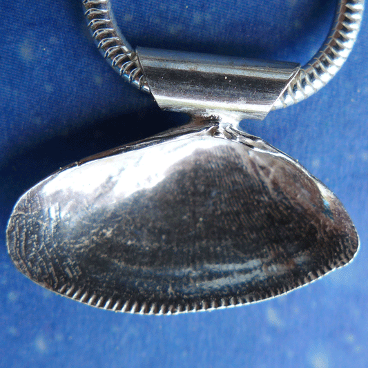 Sommertrend Muschel Schmuck Sägezahn Rückseite