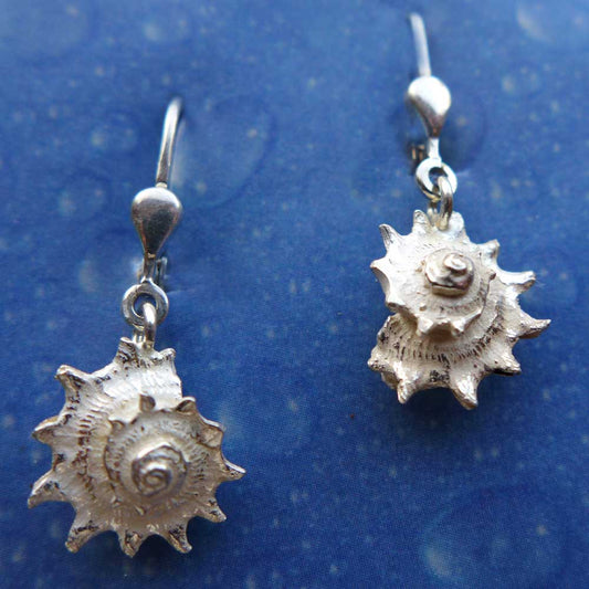 Ohrringe Schnecke Silber Schmuck 