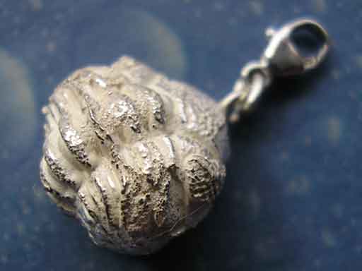 Trilobit Versteinerung Fossil Schmuck Silber 