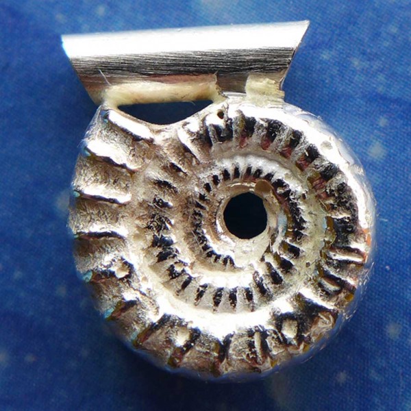 Versteinerung Schmuck Ammonit Anhänger