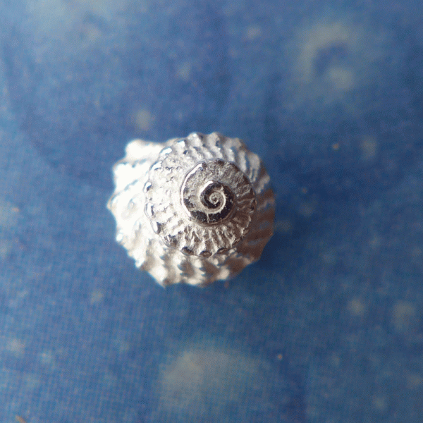 Silberschmuck Ohrstecker Schnecke Mini