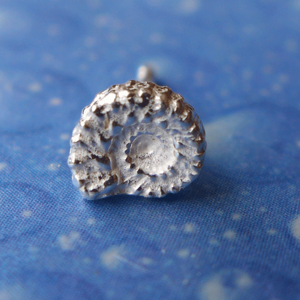 Ohrstecker Ammonit Silber Schmuck xxs