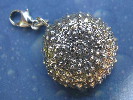 Seeigel medium Charms mit Karabiner