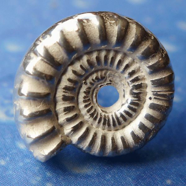 Fossiler Schmuck Ammonit Ohrstecker