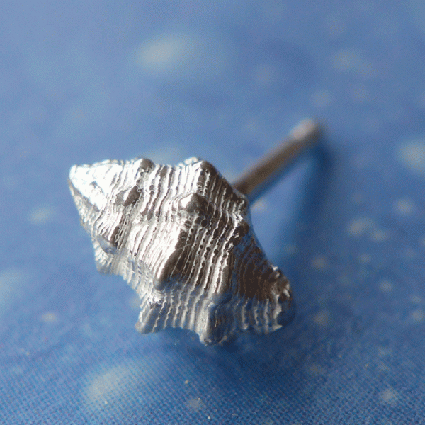 Sandstrand Silberschmuck Pferdeschnecke Stecker