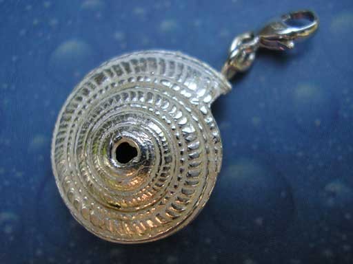 Sonnenuhrschnecke small Charms mit Karabiner